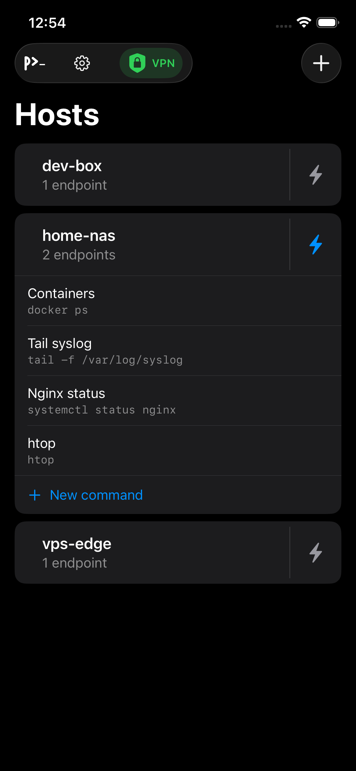 Probe host card expanded showing saved commands