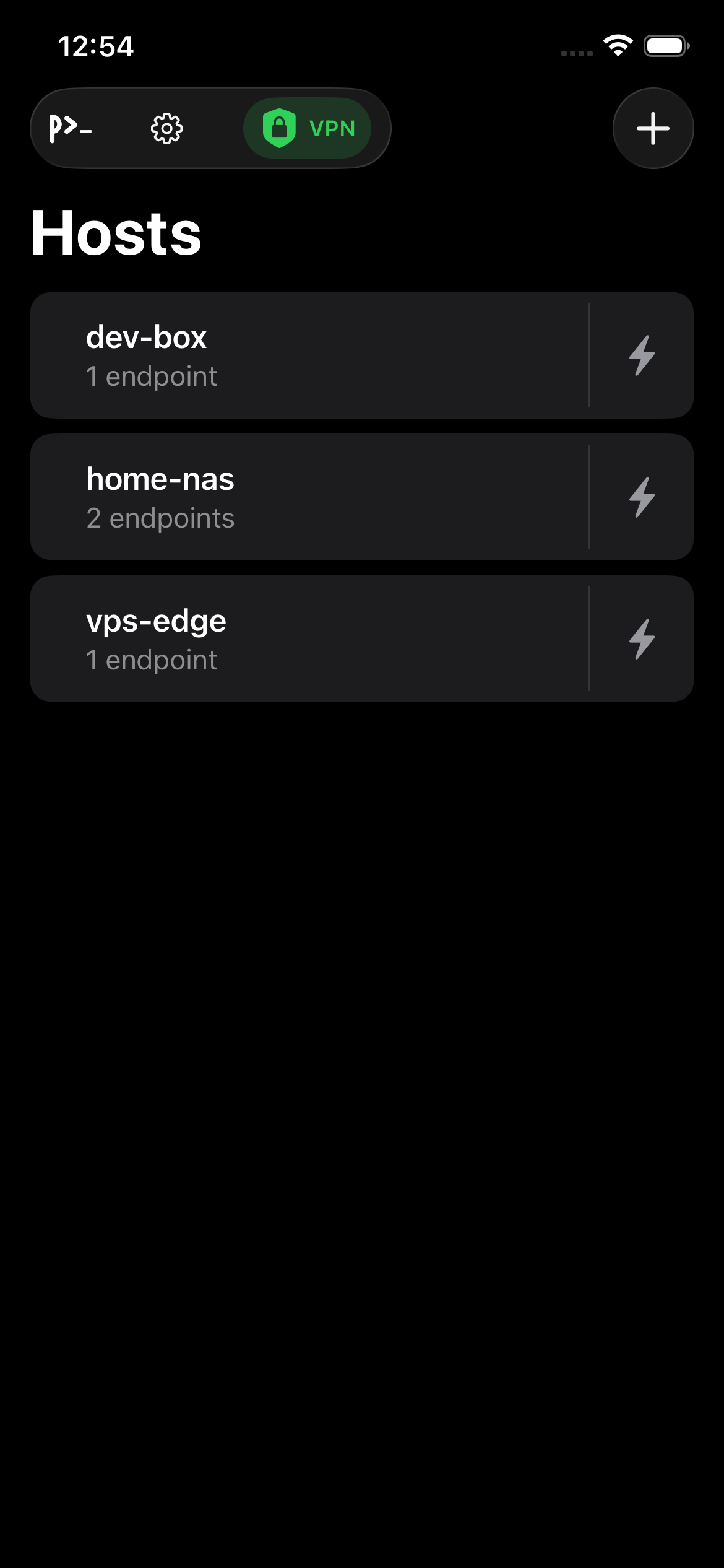 Probe host list with VPN status badge